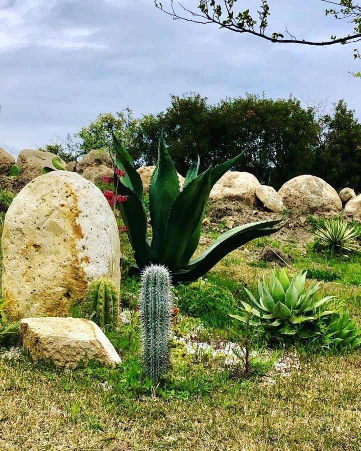L'incanto di Nausicaa Ascea Esterno foto