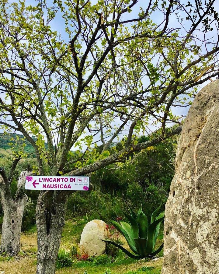 L'incanto di Nausicaa Ascea Esterno foto